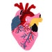 Red and Pink Anatomical Heart Rug. - Etsy