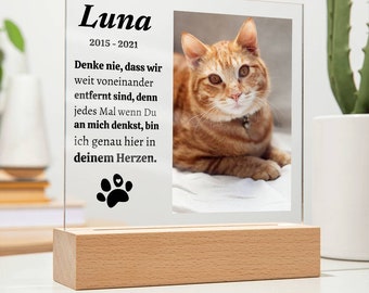 Katze, Hund Erinnerungsfoto Andenken | Haustierandenken Geschenk | personalisiertes Katzenerinnerungs-Foto-Andenken, Acryl-LED-Nachtlicht