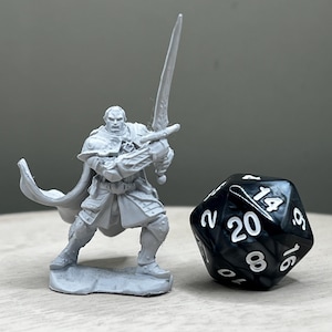You Choose Color Scheme! Half Orc Paladin, Dungeons and Dragons Miniature
