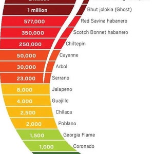 Könnte beinhalten: Eine Infografik in Form eines Chilischoten, die die Scoville-Skala darstellt. Sie zeigt die Schärfegrade verschiedener Paprika, von Gemüsepaprika bei 0 bis zu reinem Capsaicin bei 15 Millionen Scoville-Einheiten.