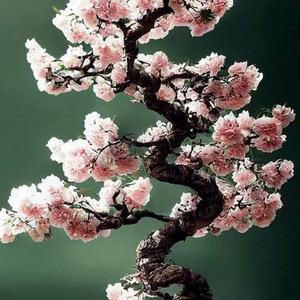 Pink Cherry Blossom Bonsai Tree seeds, best gift for him her mom dad teacher, gardening DIY birthday Japanese Sakura perennial