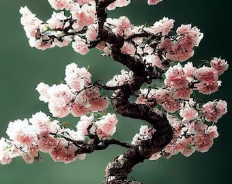 ピンクの桜の木の種：日本の桜の花、多年生 - Etsy 日本