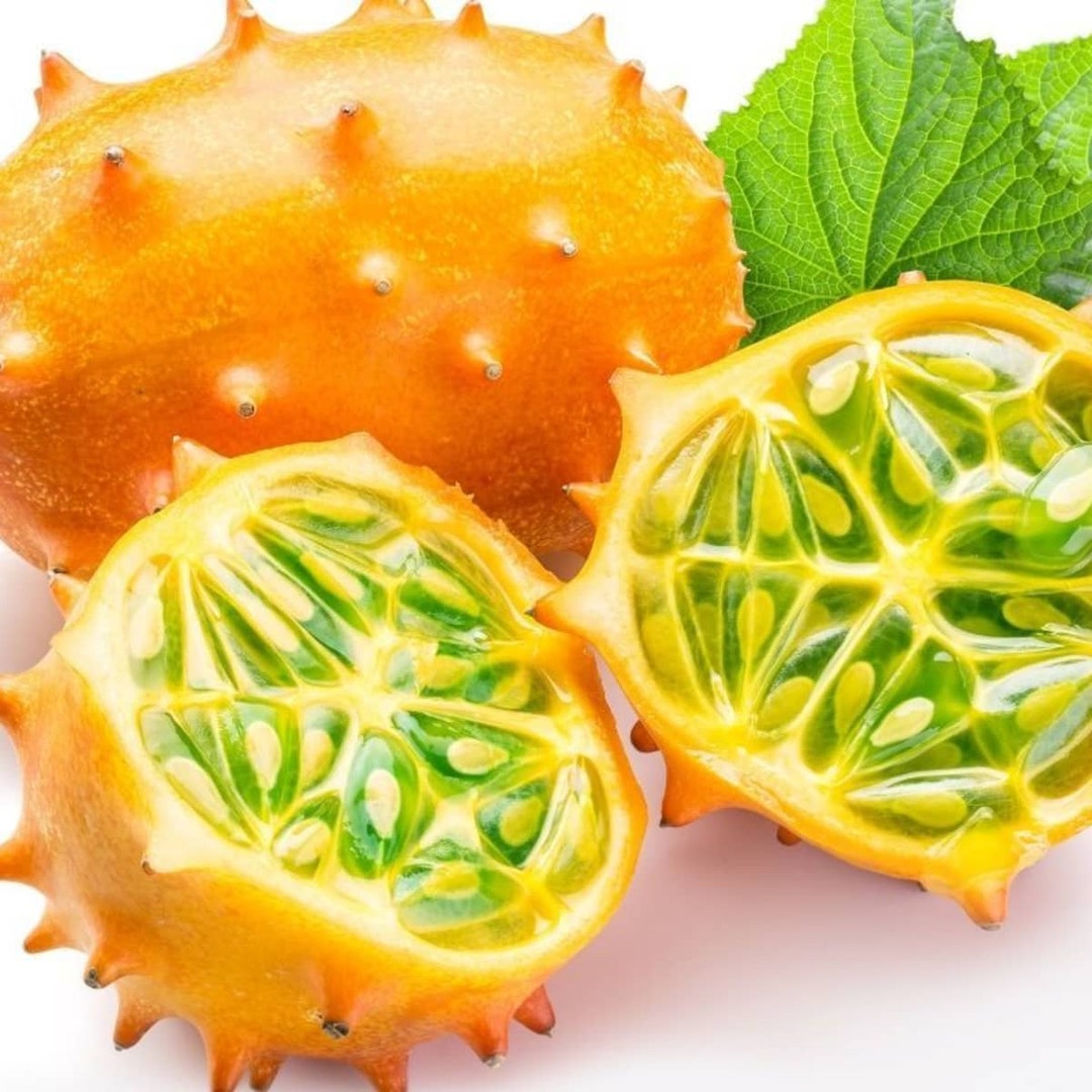 Spiky Melon Seeds a Real Super Food Coolest Fruit to Grow Etsy