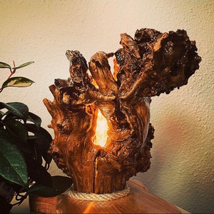 May include: A rustic wooden lamp with a natural, gnarled design. The lamp is lit, casting a warm glow through the wood. The base is made of wood and has a rope wrapped around it.