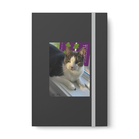 Notebook - Ruled