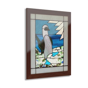 Acrylic Prints (French Cleat Hanging). Blue footed booby.