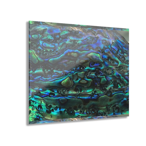 Acrylic Prints. Abalone shell design. (French Cleat Hanging)