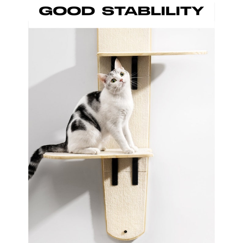 Cat Furniture Wall Door Hanging Cat Bed Wooden Scratch Etsy