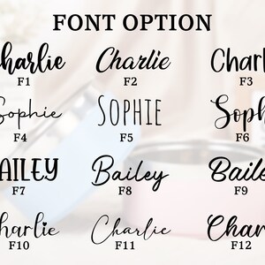 K&ouml;nnte beinhalten: Eine Grafik mit 12 verschiedenen Schriftarten f&uuml;r Namen. Die Namen "Charlie", "Sophie" und "Bailey" werden in jeder Schriftart angezeigt. Die Schriftarten sind mit F1 bis F12 gekennzeichnet.