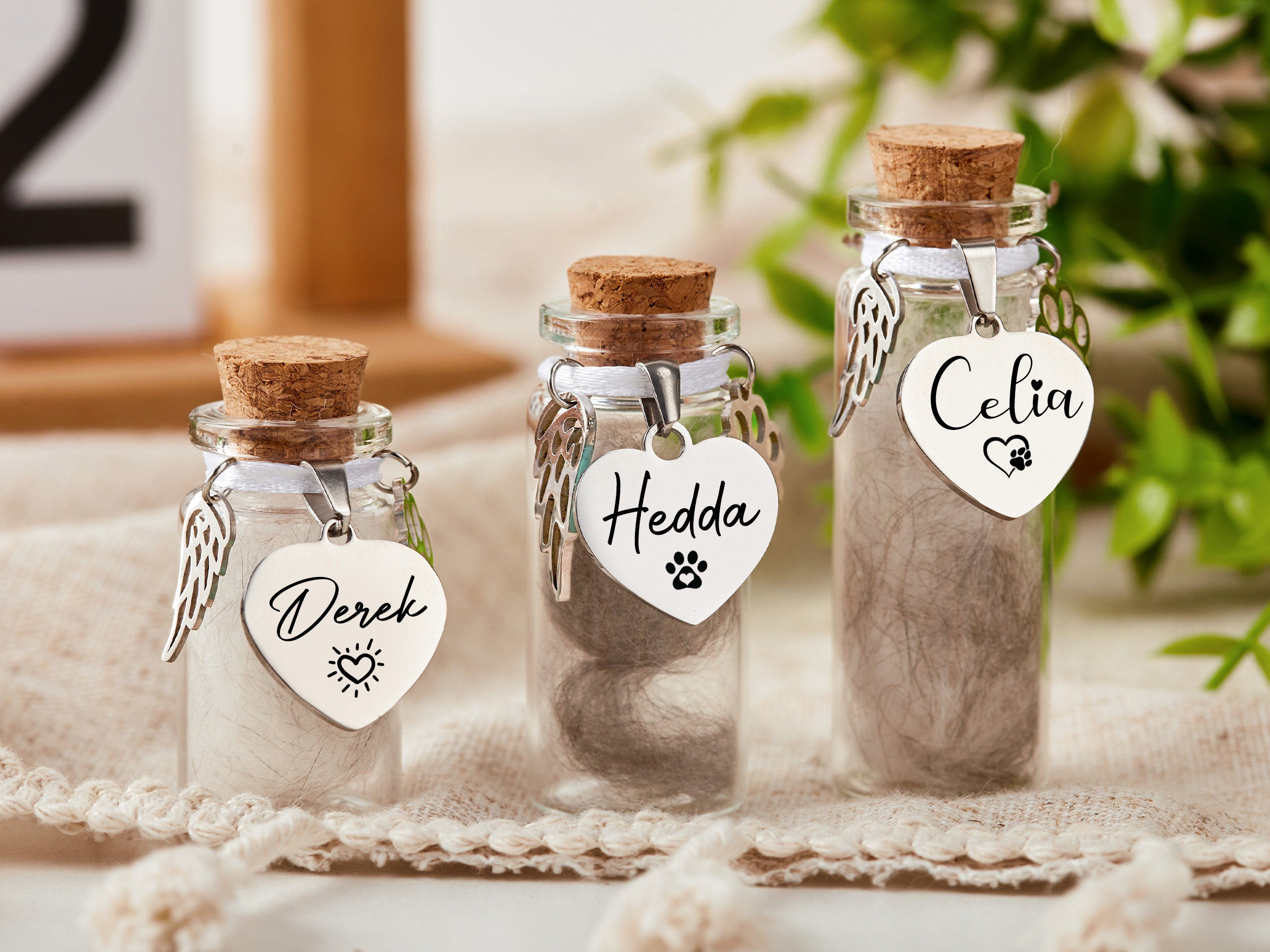 Custom Pet Fur Memorial Jar,Personalized Fur Keepsake,Dog Memorial Jar, Loss of Pet Gifts,Rainbow Bridge Gift,Urn Memorial Gift,Dog Memorial