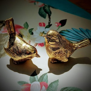 Large gold brass bird drawer handle/gold brass sparrow cabinet pull/gold chickadee door knob/nursery furniture hardware/brass bird door knob