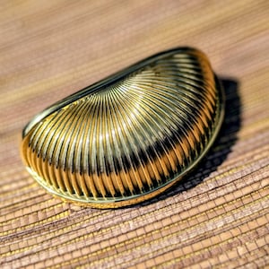 以下が含まれることがあります： 金色の貝殻型の装飾品。リブ模様のデザインが施されています。オブジェクトは、影が深さを加える、質感のある明るい茶色の表面に置かれています。貝殻のデザインはユニークな装飾要素です。