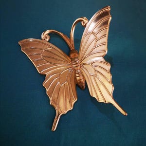 May include: A gold-colored butterfly brooch with detailed wing patterns. The brooch has a textured surface and is set against a teal background. The butterfly's wings are spread, showcasing intricate vein-like designs.