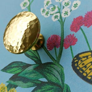 May include: A hammered brass oval cabinet knob. The knob is mounted on a light blue surface with a floral design featuring white flowers, red flowers, green leaves, and a yellow butterfly.