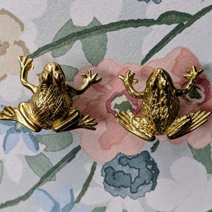 May include: Two gold-colored frog figurines with outstretched arms and detailed textures. The frogs are positioned on a floral patterned background with pink, blue, and green hues. The frogs appear to be made of metal.