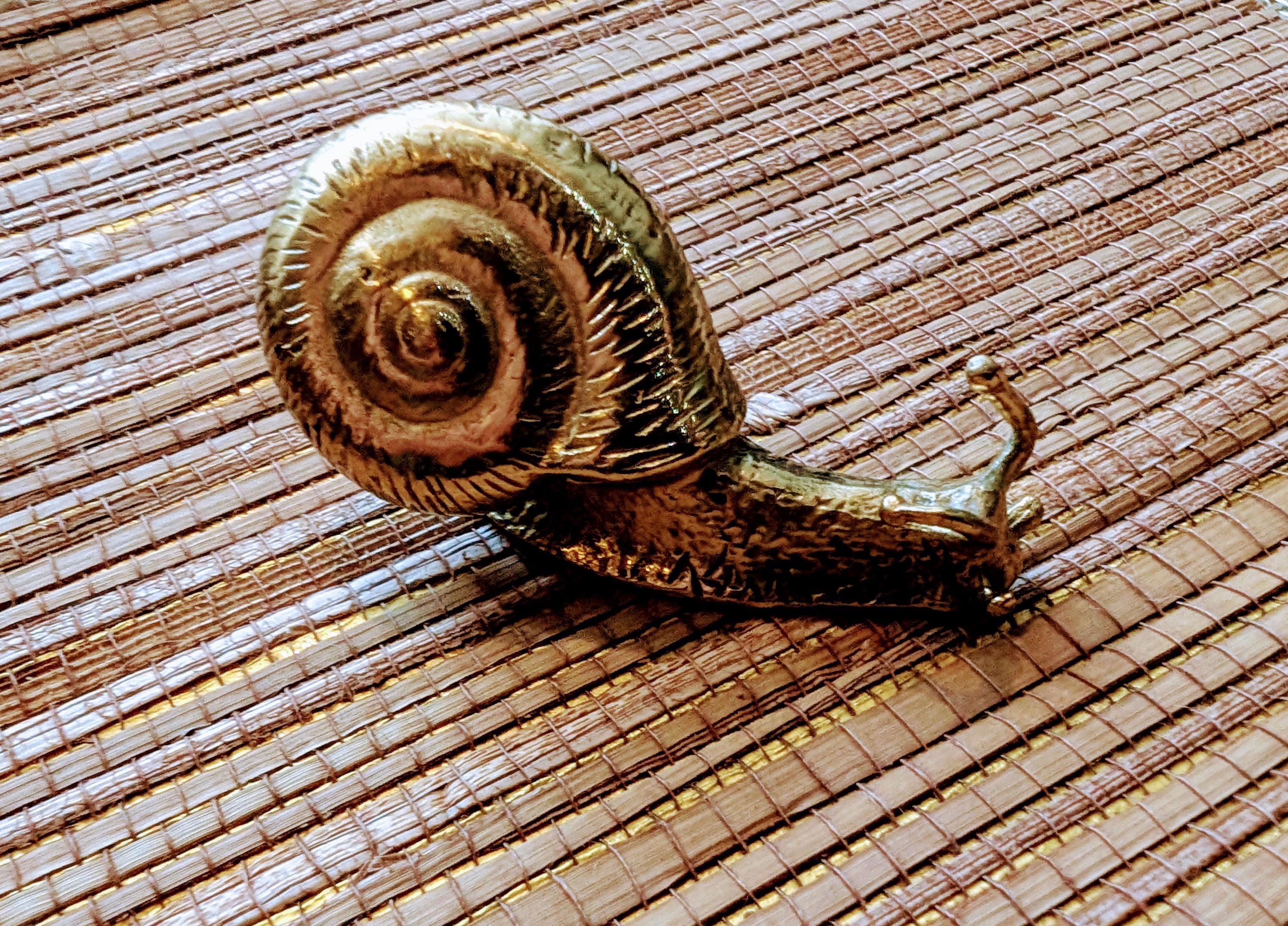 Outanaya Unique Brass Snail Shape Pull Handle – Cabinet Door Knob, Decorative Drawer Pull – Easy Install, Golden Finish – 1.97 X 0.98 X 0.9 Inch