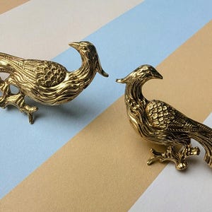 May include: Two gold-coloured bird brooches. The brooches are detailed with feathers and perched on a branch. The birds are facing opposite directions. The background is a diagonal pattern of beige, light blue, and white stripes.