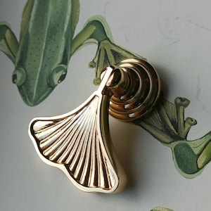 May include: A gold cabinet pull with a fan-shaped design. The pull is mounted on a circular base. The background features a green and white frog illustration.