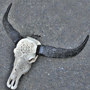 May include: A white carved bull skull with intricate floral designs. The horns are black and also carved with intricate designs.