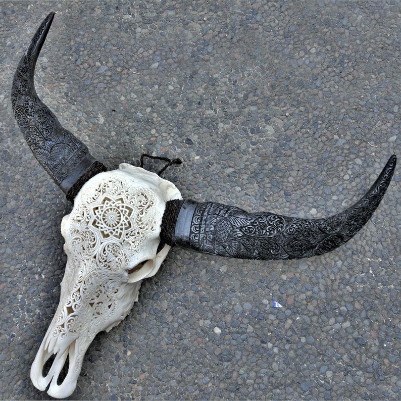 May include: A white carved bull skull with intricate floral designs. The horns are black and also carved with intricate designs.