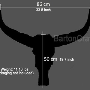 May include: Black silhouette of a bull skull with horns, measuring 86 cm wide and 50 cm tall. The text "Barton Craft" is visible in the image. The skull weighs 11.16 lbs.