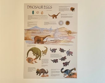 Dinosaur egg poster. A3 poster. Dinosaur poster. Educational. Wall Art for kids. Nursery art. Poster. Illustrated poster. Dino poster.