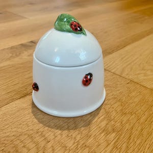 May include: A white ceramic jar with a lid, adorned with red and black ladybug accents. A green leaf with a ladybug sits atop the lid. The jar is on a wooden surface.