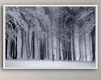 Snowy Forest Canvas Art, Black and White Winter Tree Print