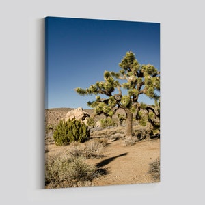 Joshua Tree Photo.  Canvas Print Wall Art from Joshua Tree National Park.  Desert Landscape Photo