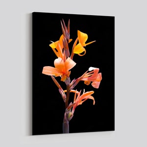 Pink Canna Lily Flowers Photographic Botanical Print on Canvas or Paper.  Floral Photo.