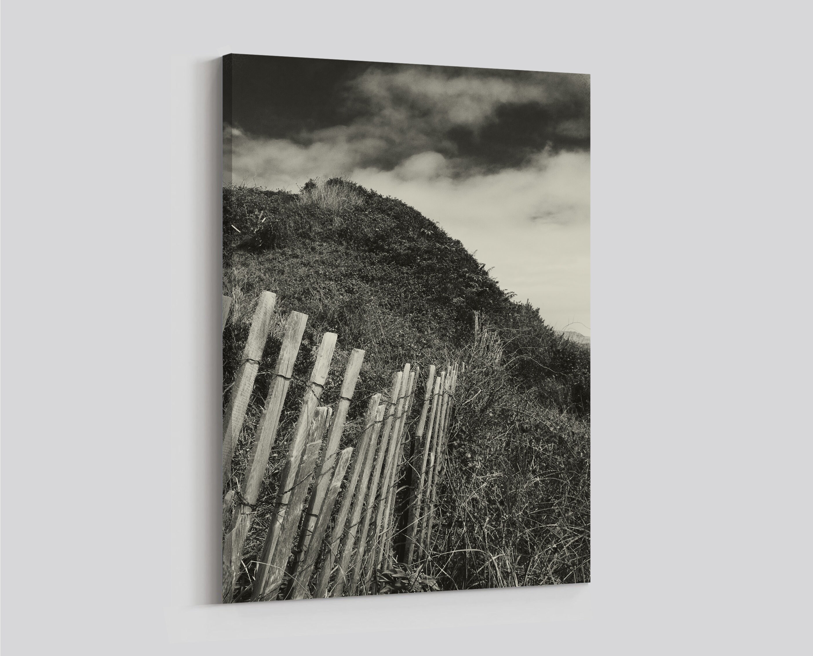 Sea Grass Dune Nautical Landscape, Beach Photography, South Shore Photography, Beach Photograph, Nautical, Seaside Wall Art, Montauk Beach