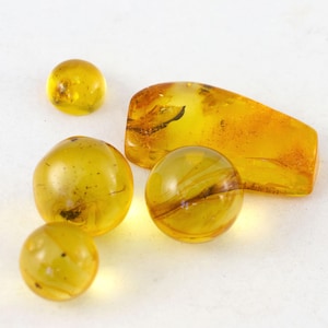 Lot of 5 Baltic Amber Specimens with Traces of Fossil Insect Inclusions, Certificate of Authenticity is Included