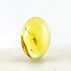 Amber Cabochon with Insect, Rare Fossil Insect Inclusion in Genuine Baltic Amber, 12mm x 18mm, Certificate of Authenticity is Included