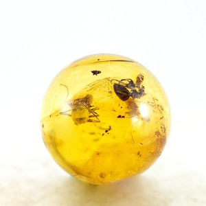 Amber with Insects, Fossil Insects Inclusions in Genuine Baltic Amber 9mm Sphere, Certificate of Authenticity is Included