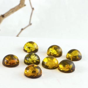 Baltic Amber Cabochons, Genuine Baltic Amber 10mm Green Cabochons, One Piece Randomly Selected
