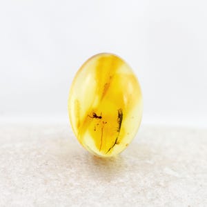Amber Cabochon with Insect, Fossil Insect Inclusion in Genuine Baltic Amber Specimen, 10mmx14mm, Certificate of Authenticity is Included