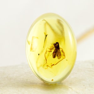 Amber Cabochon with Insect, Rare Fossil Insect Inclusion in Genuine Baltic Amber, 12mm x 18mm, Certificate of Authenticity is Included