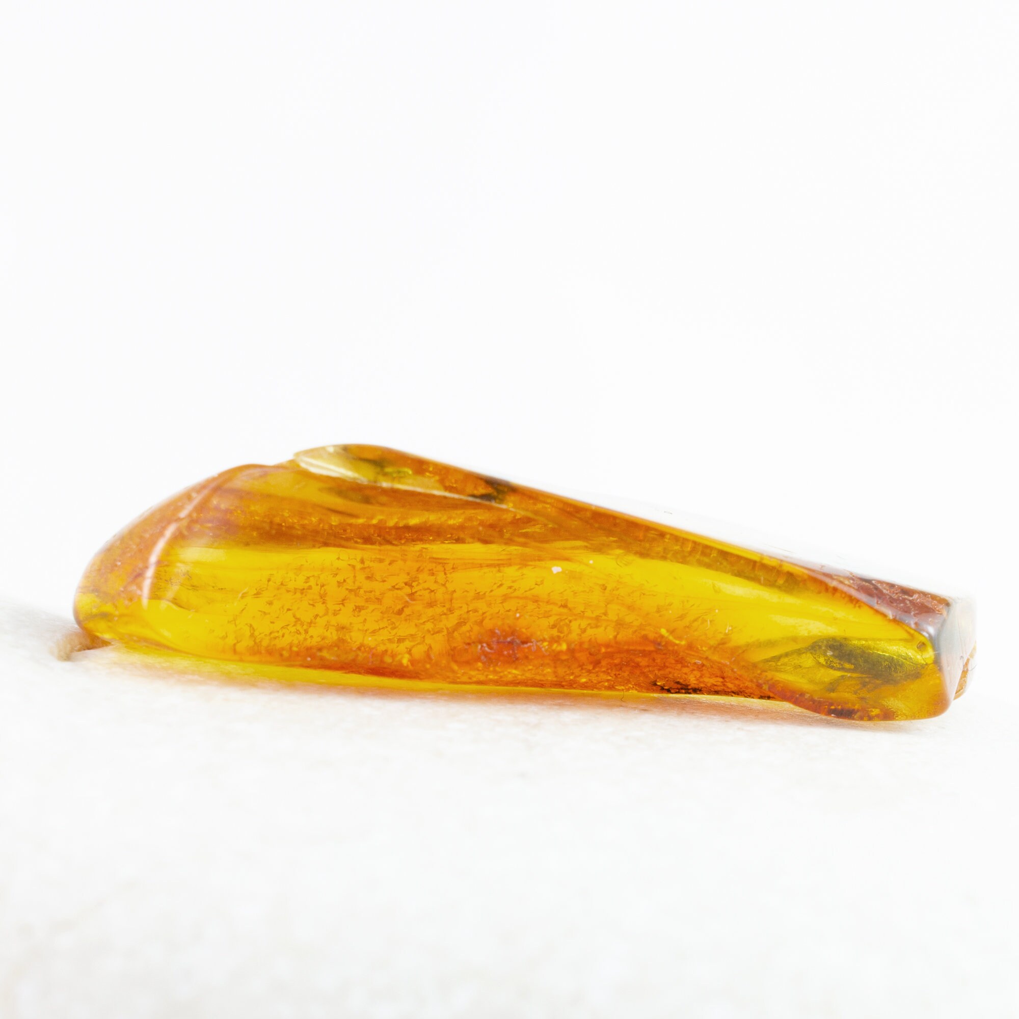Amber With Insect, Rare Fossil Insect Inclusion in Genuine Baltic Amber