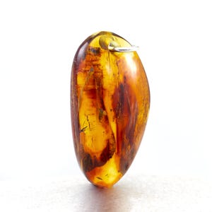 Insect in Baltic Amber Pendant, Silver Charm with Two Fossil Insects Inclusions, Certificate of Authenticity is Included
