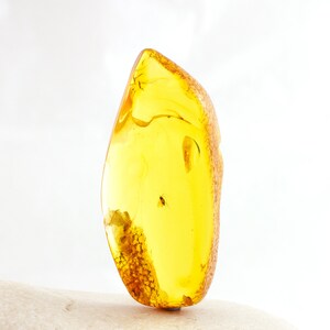 Amber with Insect, Tiny Fossil Insect Inclusion in Big Genuine Baltic Amber Specimen, Certificate of Authenticity is Included