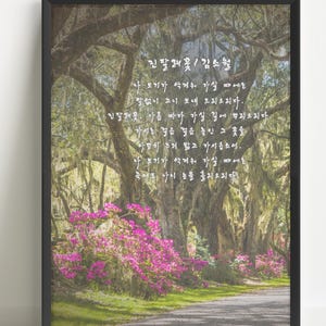 May include: Framed print featuring a scenic road lined with large trees and vibrant pink azaleas. The image has a soft, natural aesthetic, with a pathway leading into the distance. Korean text is visible on the print.