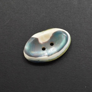 May include: A two-hole oval-shaped button made from iridescent mother of pearl with a white rim. The button has a green, blue, and purple iridescent sheen.