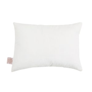COZY TYKES Toddler Pillow. Baby Pillow toddler pillow for school, travel, sleepovers. Adult travel pillow throw pillow