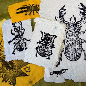 Puede incluir: Impresiones artísticas hechas a mano con ilustraciones de insectos negros sobre papel texturizado. Las impresiones presentan varios diseños de escarabajos, algunos sobre papel amarillo y otros sobre papel blanco. Las obras de arte están dispuestas sobre una superficie verde.