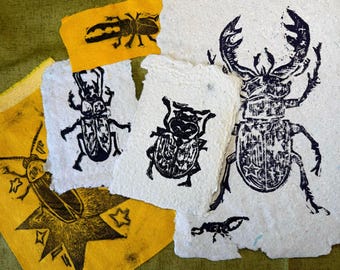 B GRADE - Mystery prints