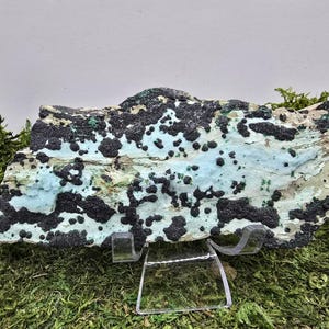 May include: A natural mineral specimen with a light blue and beige base, speckled with black and green formations. The rock is displayed on a clear stand, set against a backdrop of green moss.