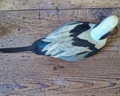 Hand Carved Long Tail Old Squaw Duck Decoy