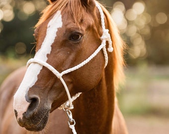 Lariat Muletape Halter