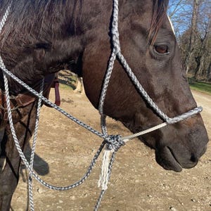 Muletape Looping Hack