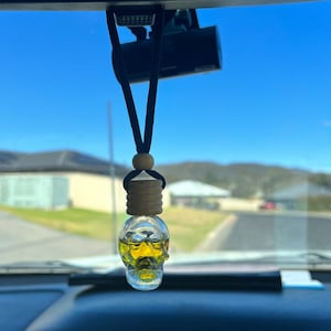 Highly Scented Car Diffusers Hanging Skull Cupboard Cylindrical Air Freshner Frangrance Wardrobe Diffuser Bullet Air Diffuser
